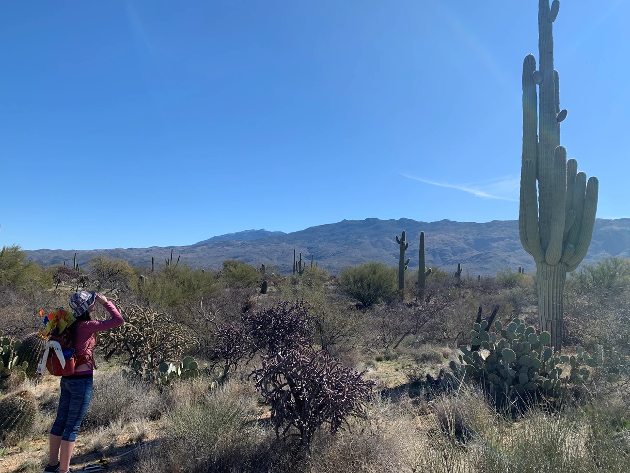 Student uses clinometer Student uses clinometer