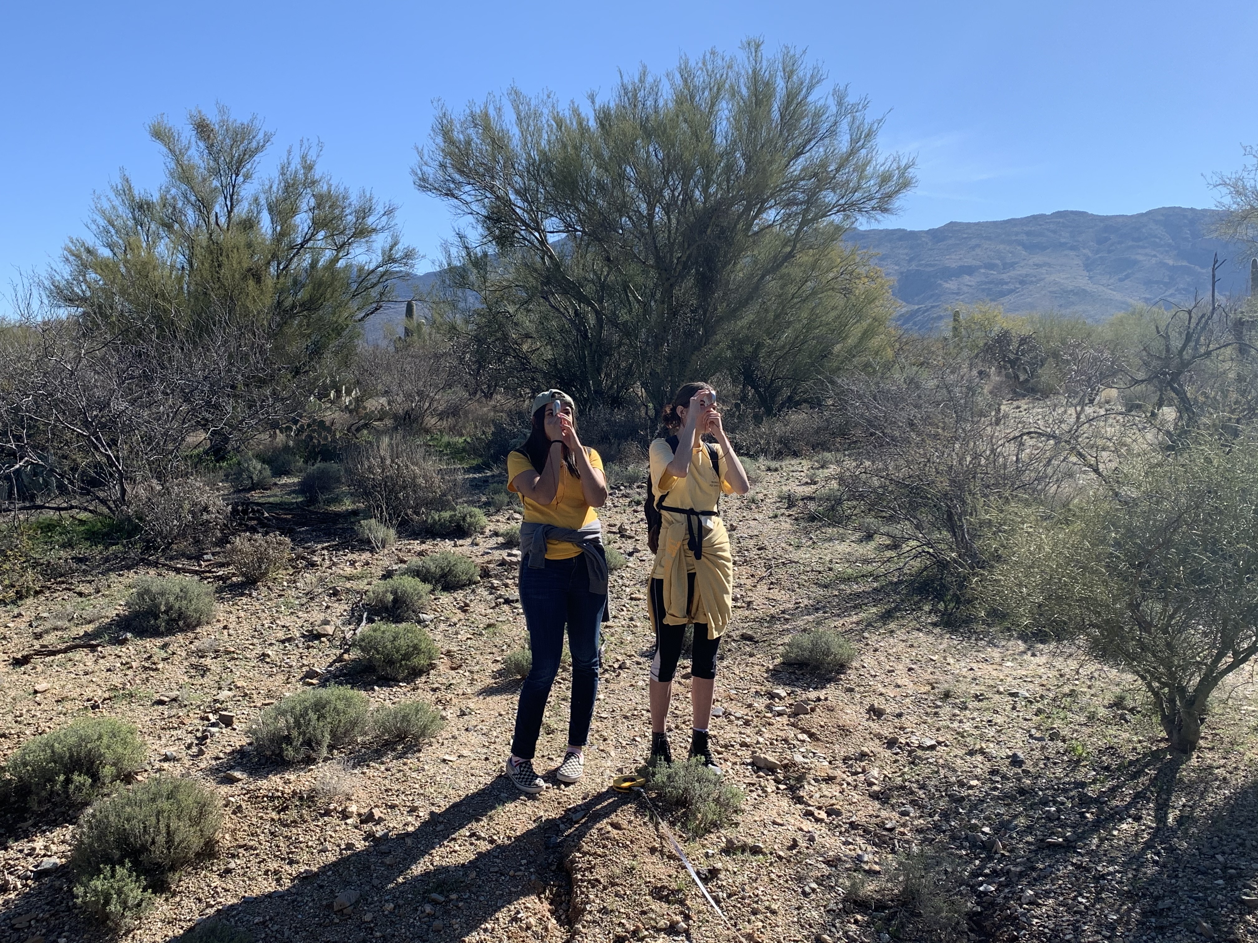 Students take measurements using clinometer