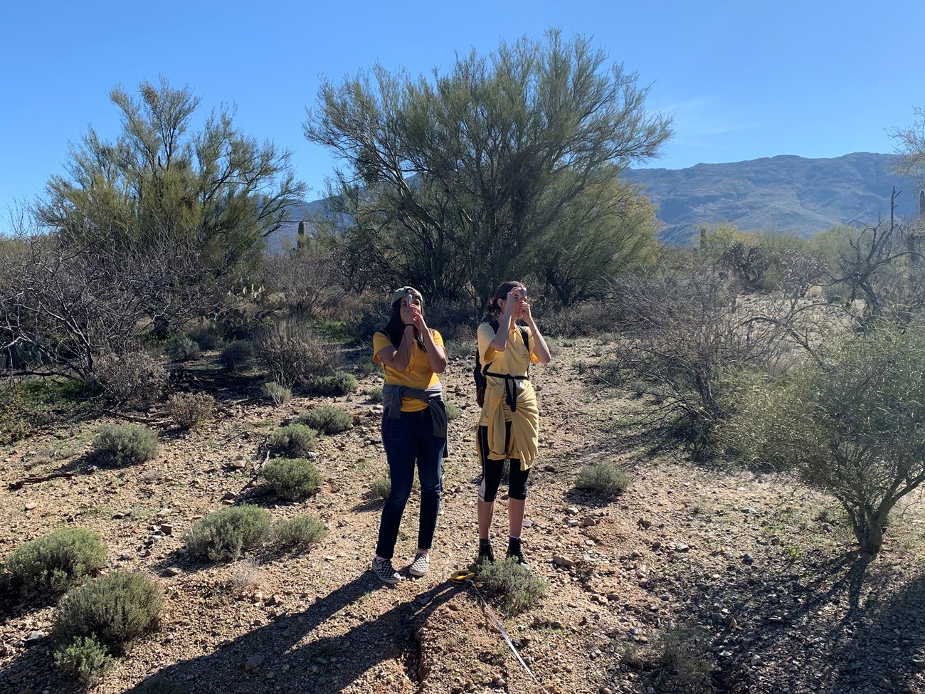 Students take measurements using clinometer