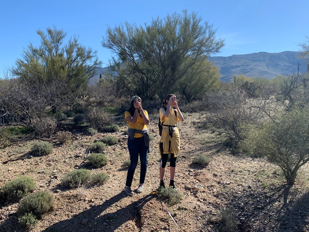 Students take measurements using clinometer Students take measurements using clinometer