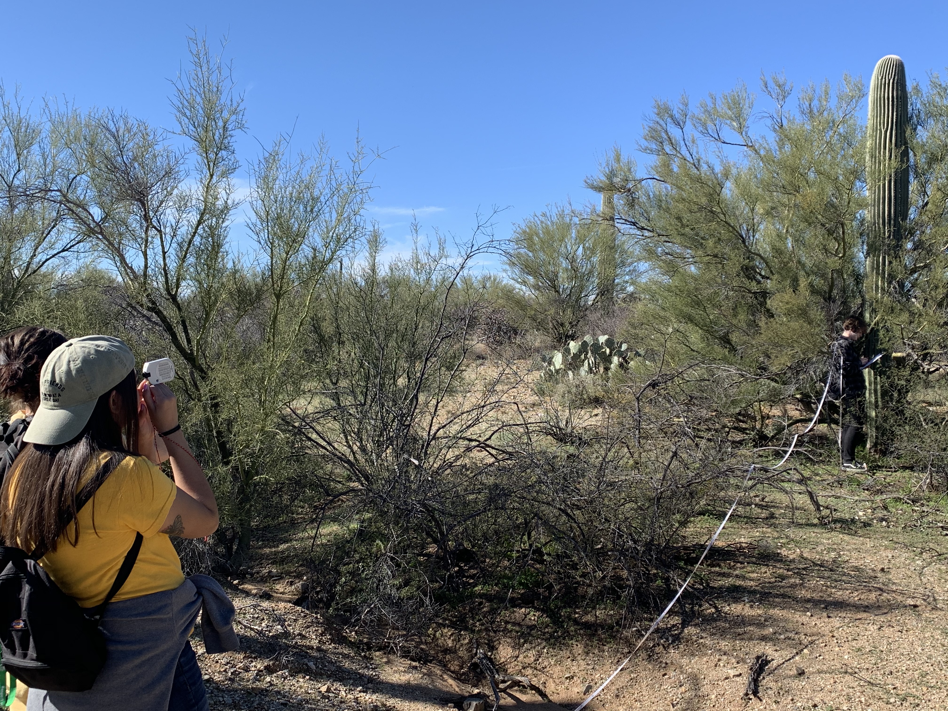 Student uses clinometer