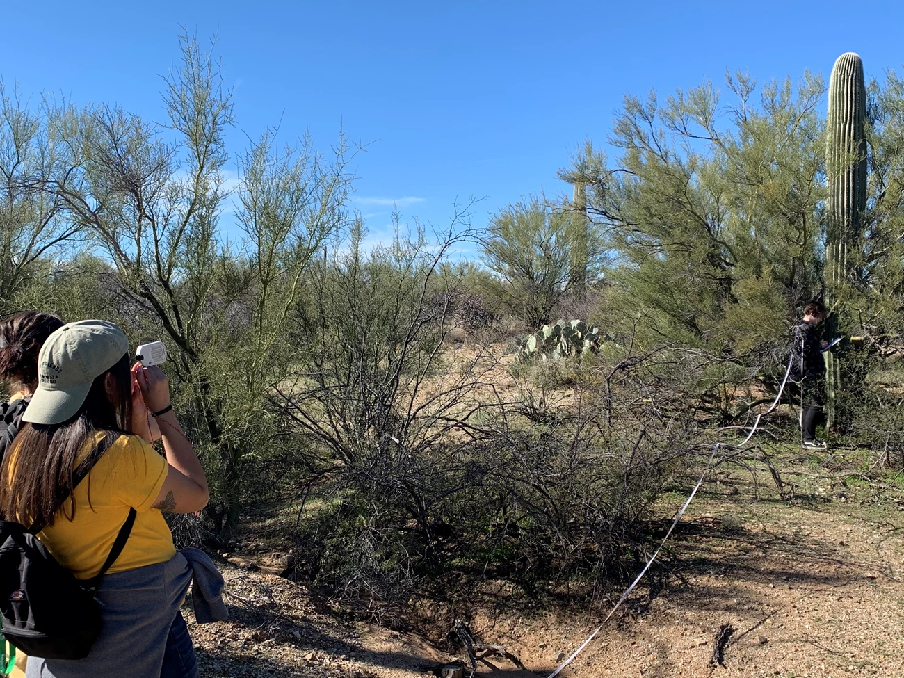 Student uses clinometer Student uses clinometer