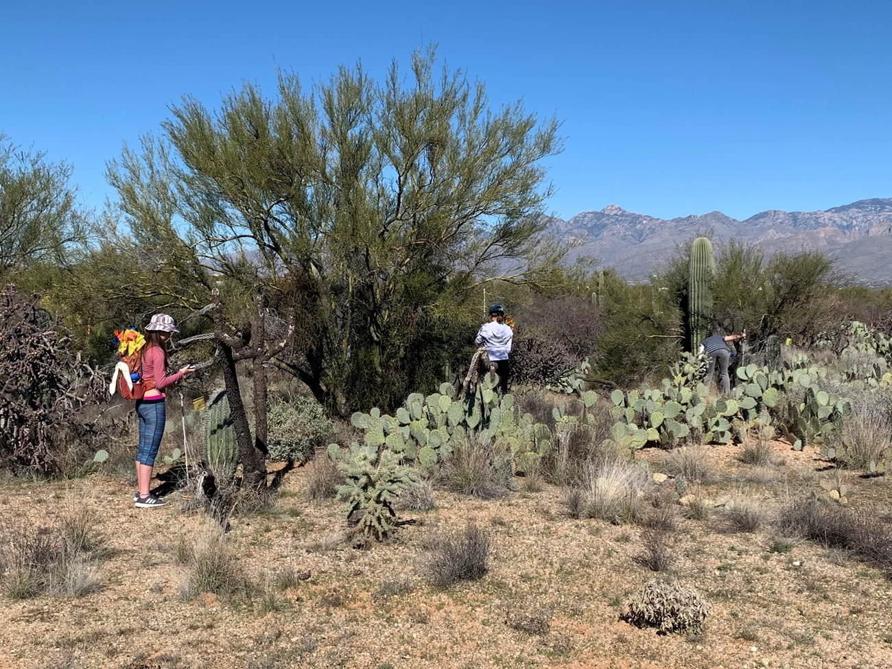 Students collect field data Students collect field data