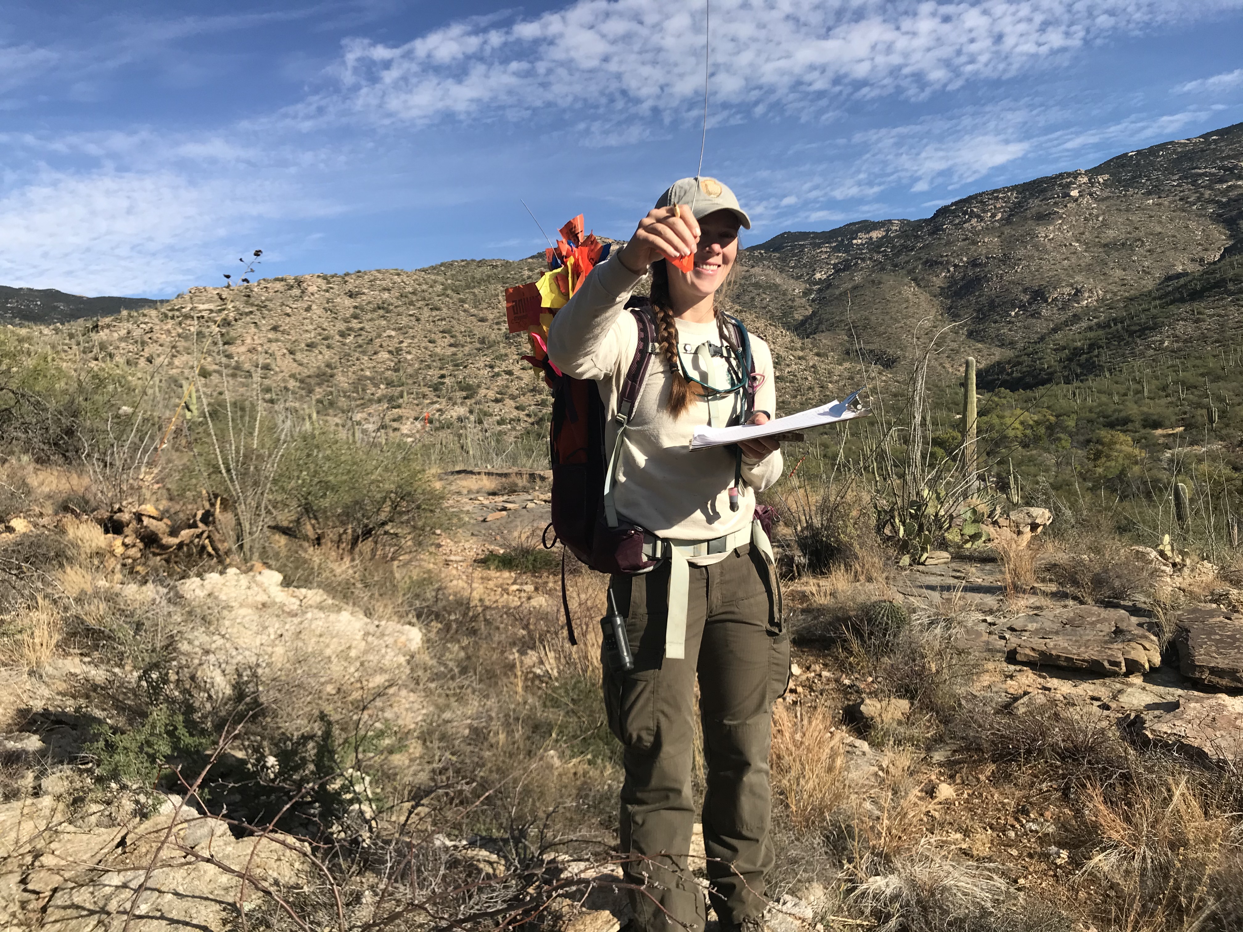 Park staff holding out an orange flag. Behind her is the beautiful sonoran desert.