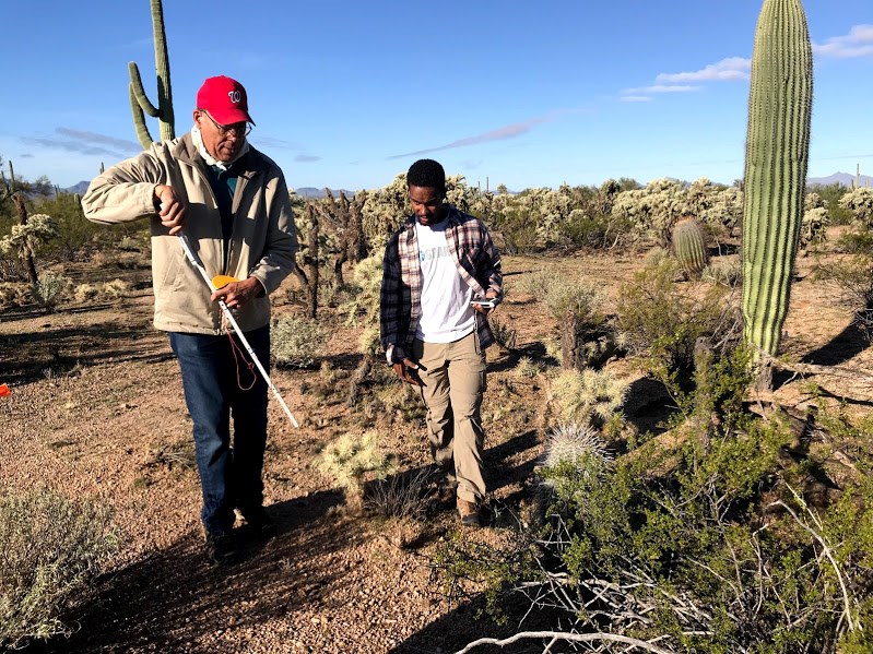 Two men walking towards a small saguaro