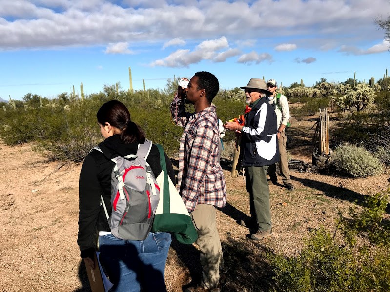 Volunteers working together to measure the height of a saguaro and collect data.