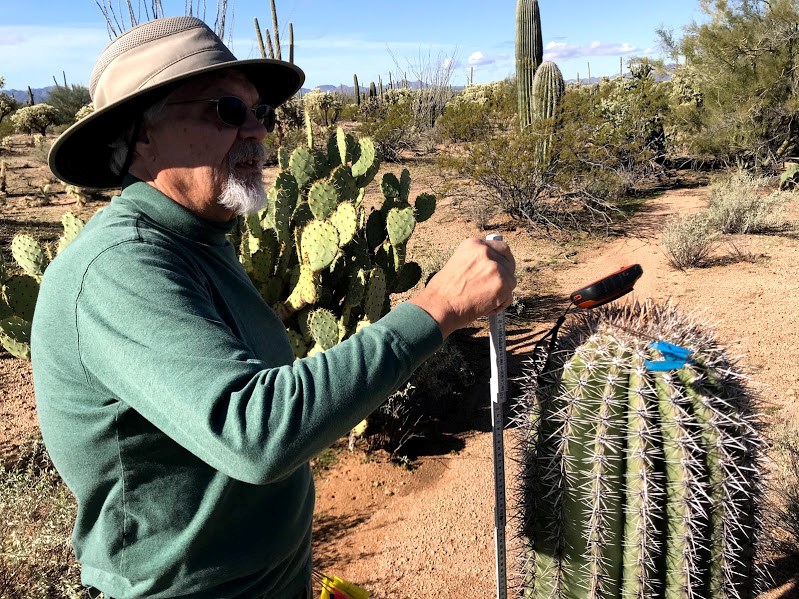 A man next to a saguaro that has a blue flag and GPS navigator on top of it.