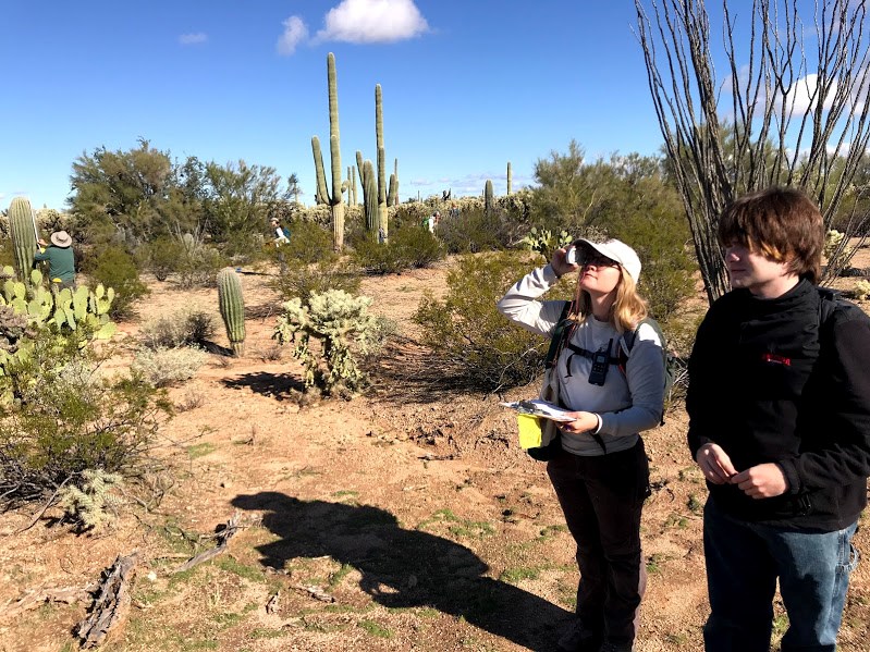 A woman, next to another volunteer, looking through a clinometer to measure the height of a saguaro