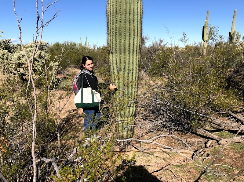 Woman holding onto a tape measure, next to a saguaro