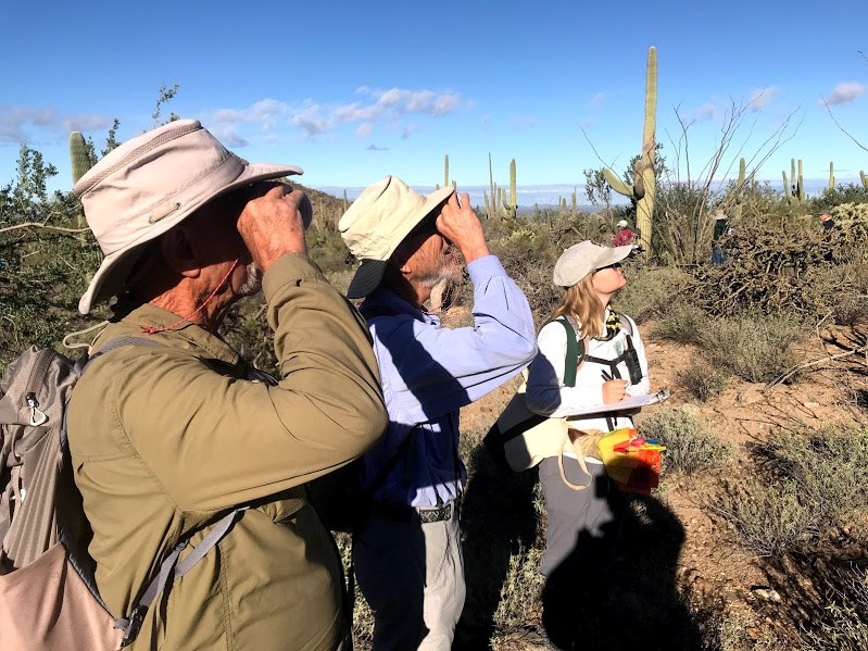 Two men using a clinometer to figure out the height of a saguaro. Next to them is a woman ready to take down notes.