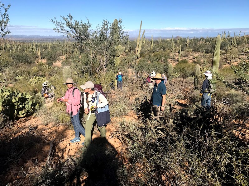 Tucson Mountain Hiking Group out in the field working