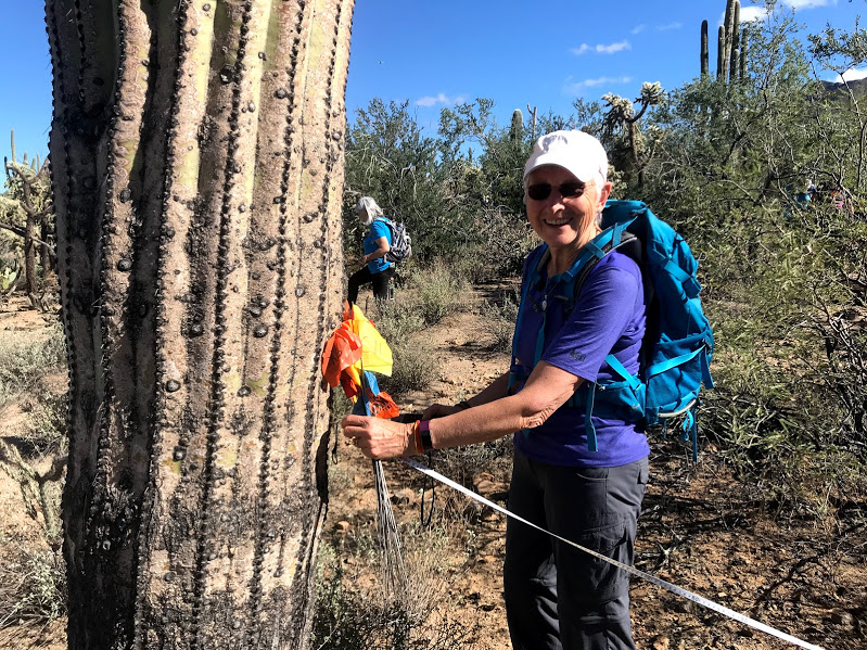 A woman smiling to the camera. She is holding flags and the end of a tape measure.