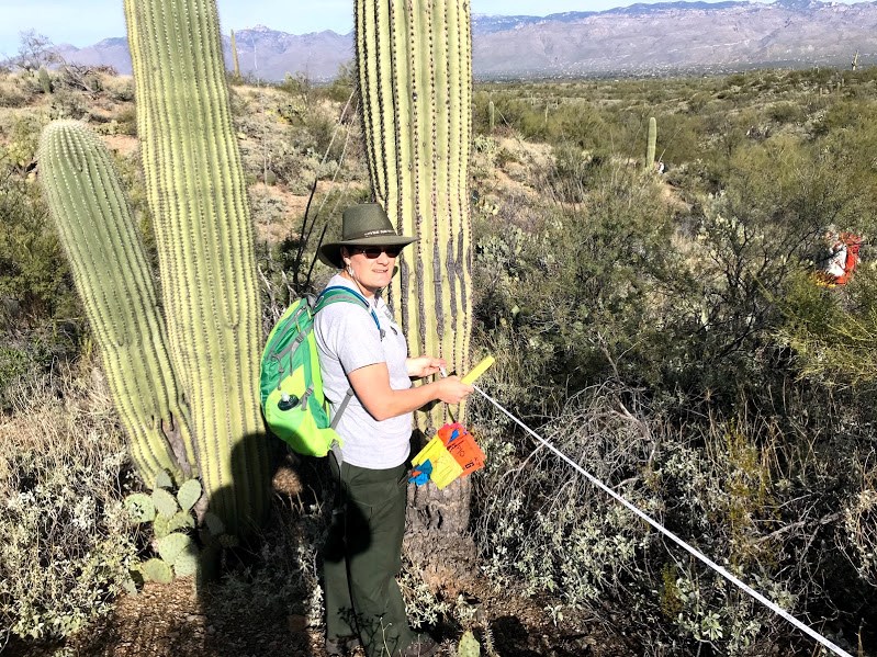 Woman holding the end of a tape measure. She is next to a saguaro