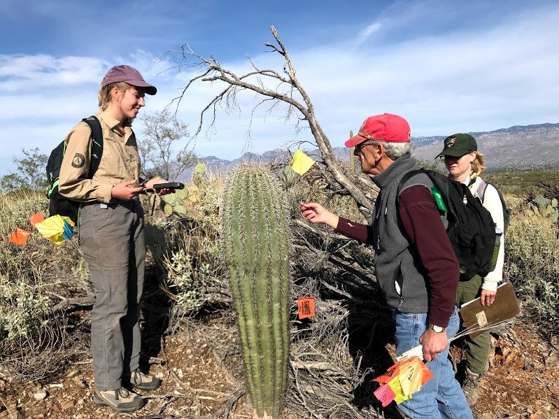 A man talking to two other women about a saguaro