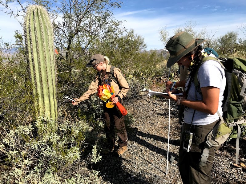 A woman reading the coordinates of a saguaro while another is writing them down