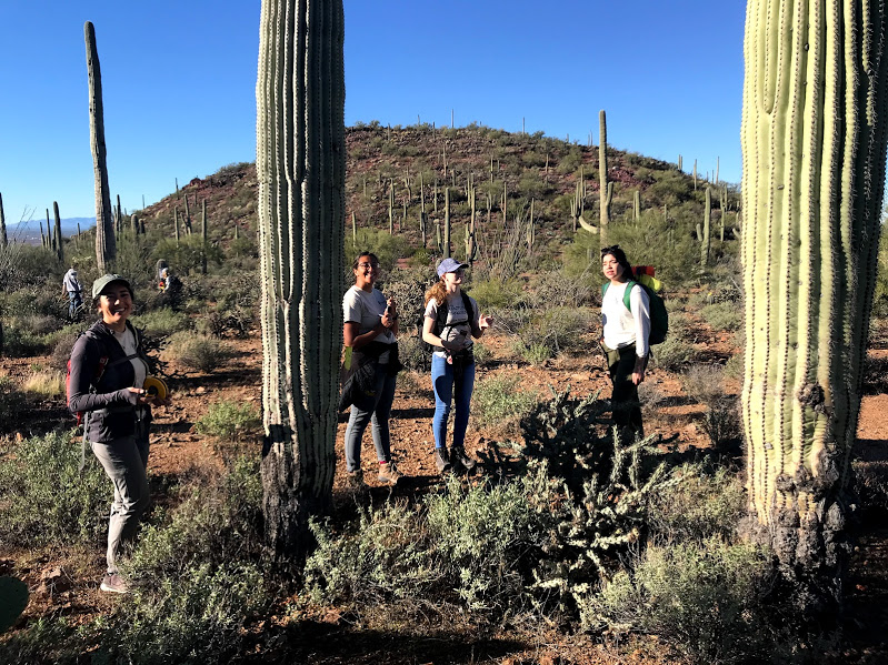 Students on the plot