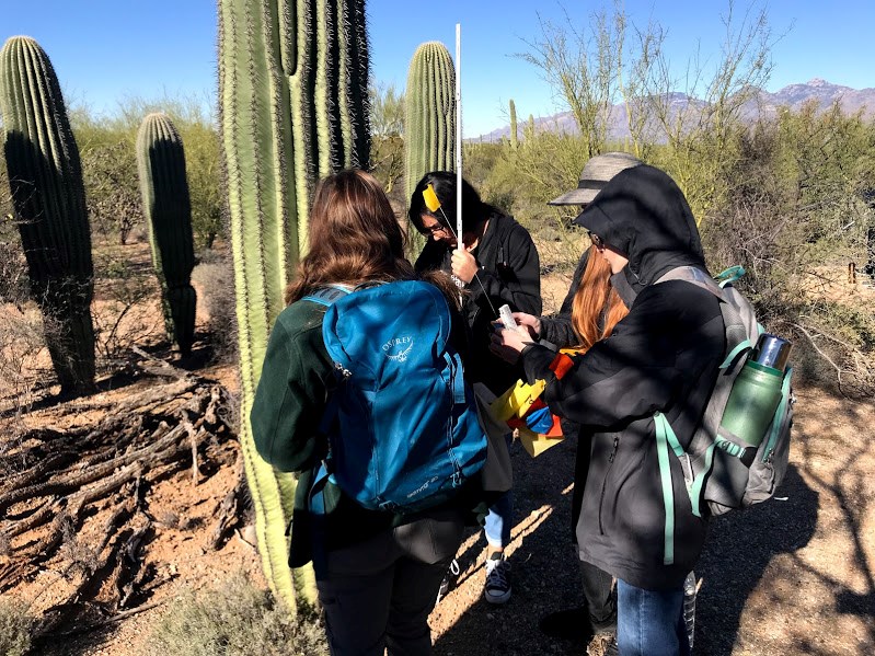A group of students working together to find the coordinates and height of a saguaro