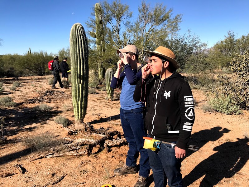 Two students using a clinometer to find the height of a saguaro