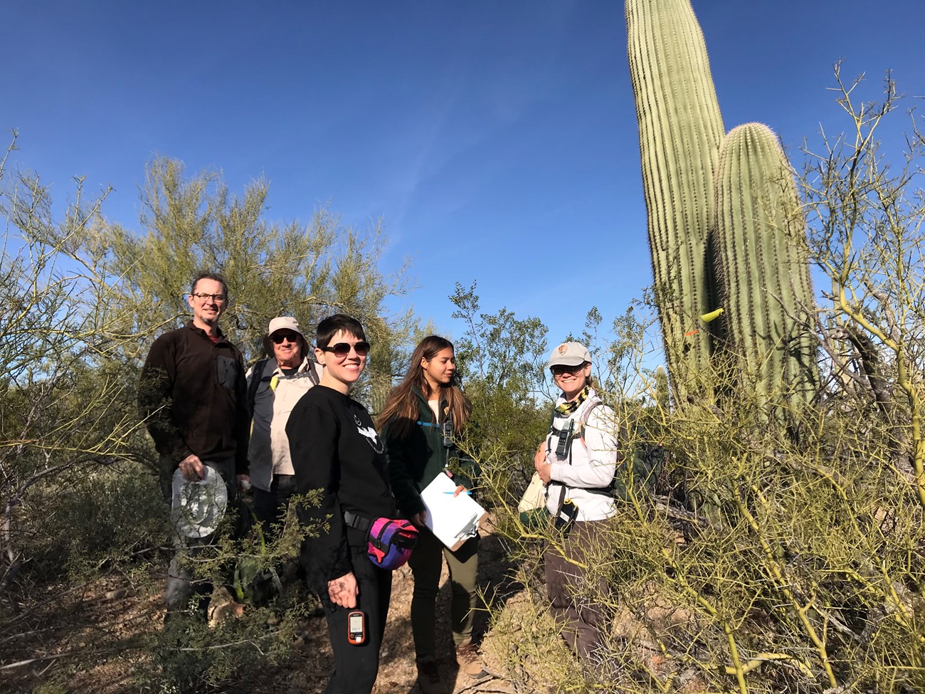 Volunteers and park staff excited to begin the saguaro survey