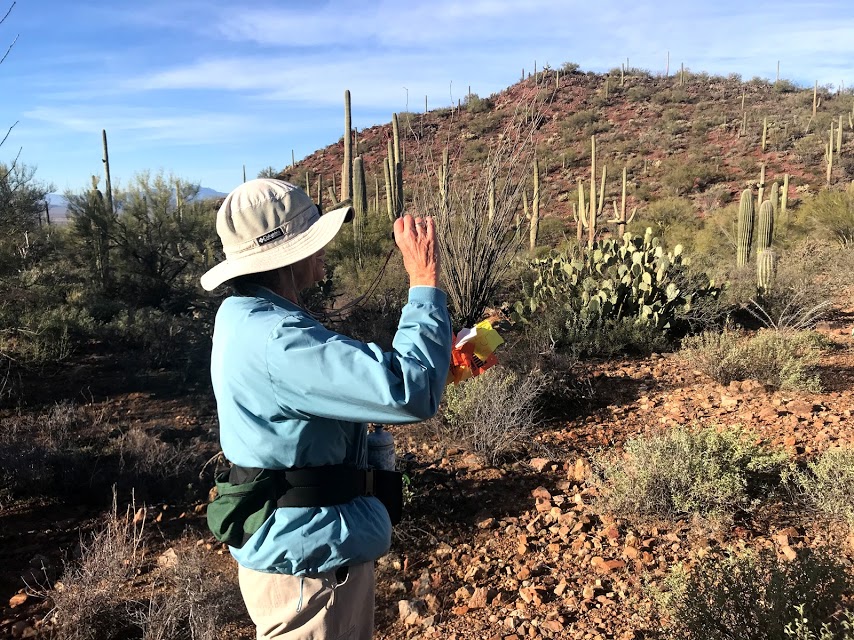 Park staff holding a clinometer in front of her face.