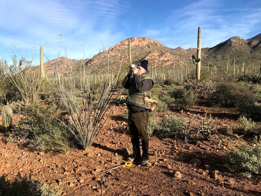 A man looking through a clinometer. In front his feet is a tape measure indicating that he is 10 meters away from the saguaro.