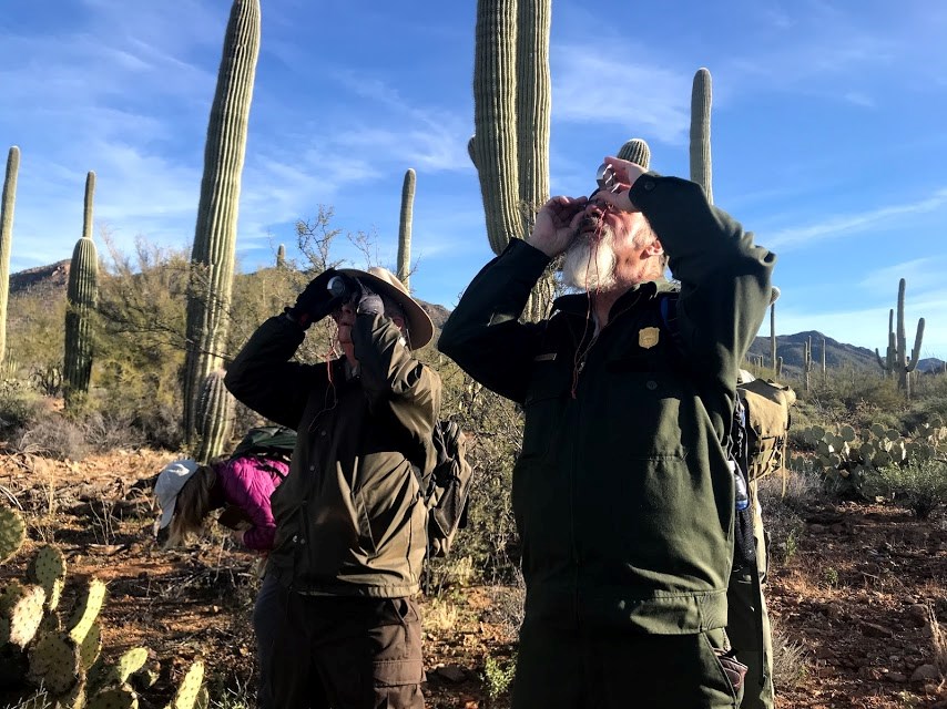 Two men side by side using a clinometer to find the height of the same saguaro