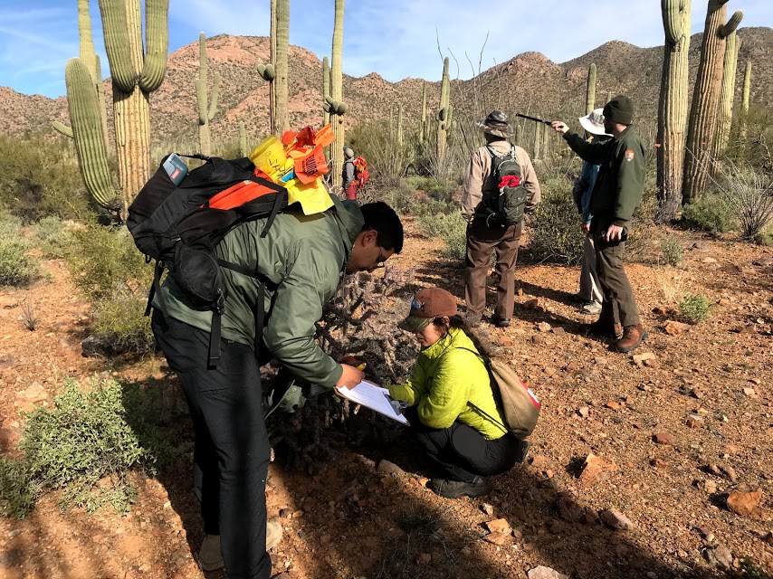 Park staffs on the plot working