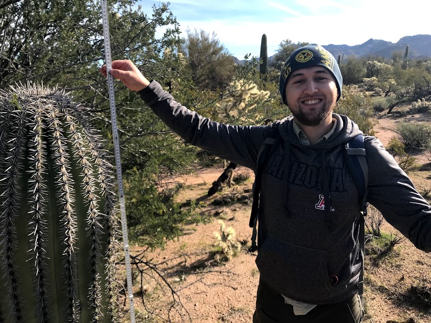 Park staff holding a folding ruler next to a saguaro.