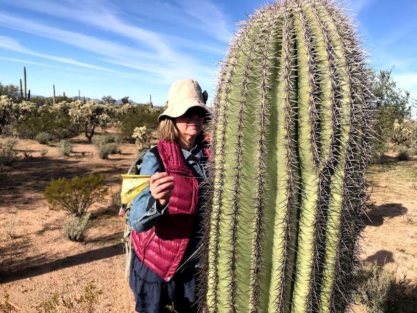 Woman putting a flag through the spines of a saguaro.