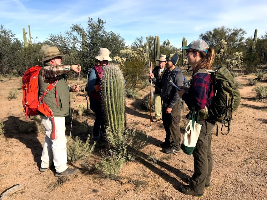 Park staffs and volunteers around a saguaro.