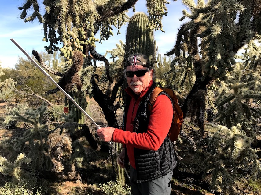 A man smiling. Behind him are a lot of chollas.