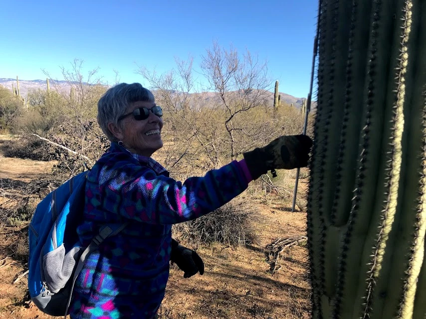 A woman using a meter stick to measure the height of a saguaro Woman smiling and holding a meter stick.