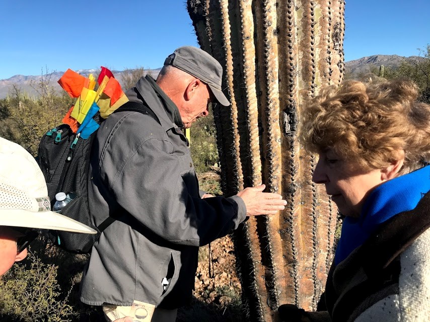 A man holding a gps device near a saguaro