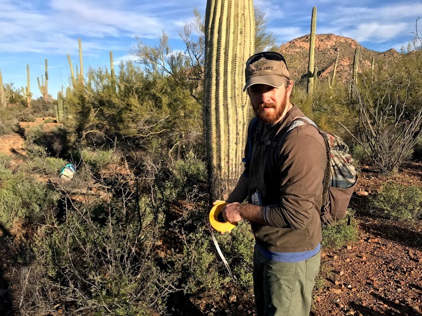 A man holding a measuring tape. Behind him is a saguaro.