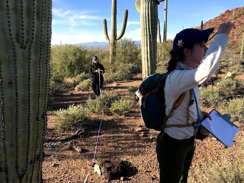 A woman unrolling a measuring tape to measure her distance from a saguaro. Another woman is looking into the distance.