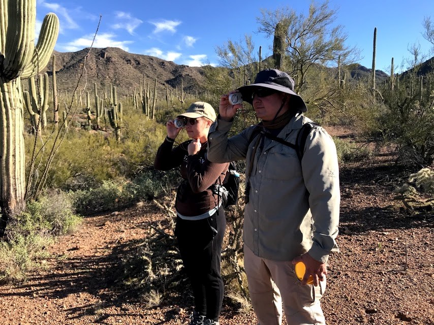Two volunteers looking through each of their clinometer to find the height of the same saguaro.