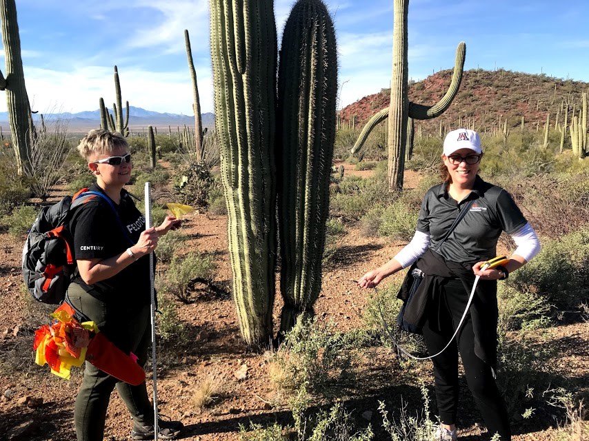 Two volunteers holding a measuring tape, yellow flag, and a white folding ruler. Behind them are two saguaros.