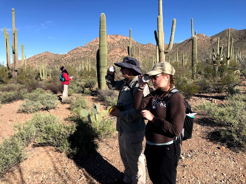 Volunteers both using a clinometer to find the height of the same saguaro.