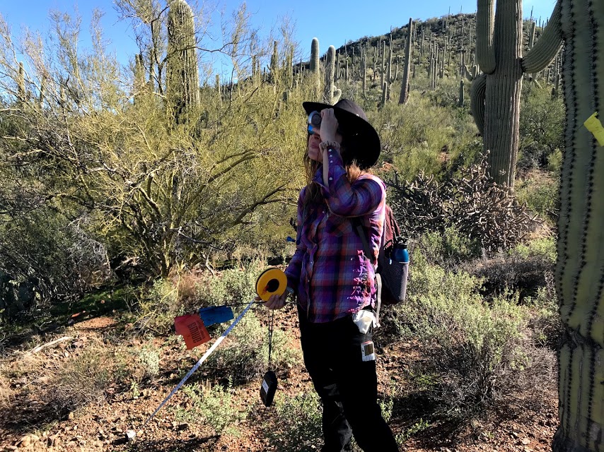 A woman using a clinometer.