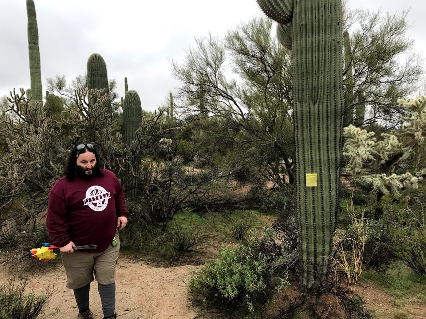 A man holding a bunch of flags. Next to him is a saguaro with a yellow flag.