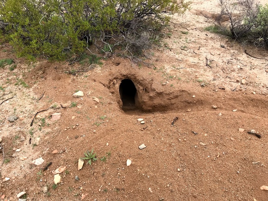 A hole about the size of a bowling ball on the ground.