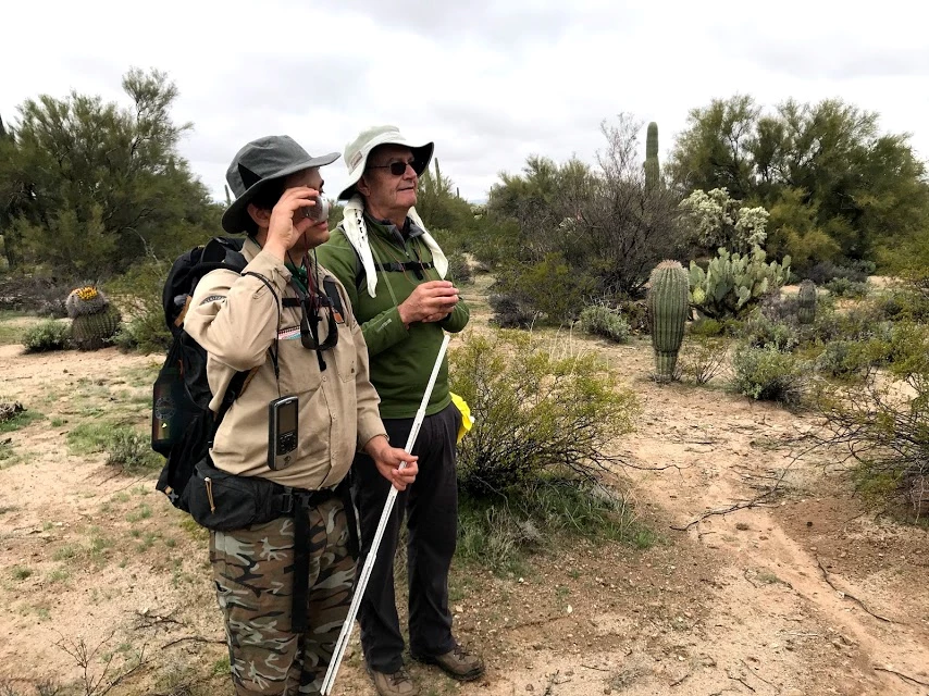 Using a clinometer to figure out the height of a tall saguaro Two men working on finding the height of a saguaro using a clinometer.