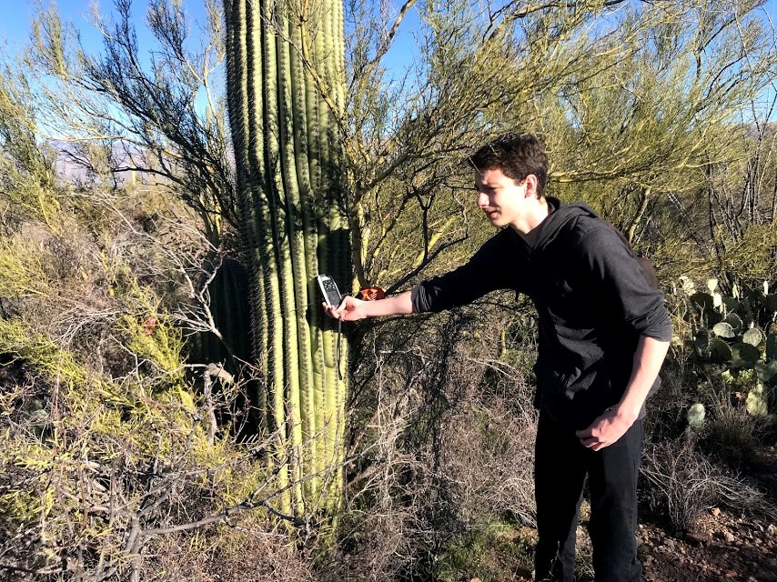 A volunteer holding a GPS device next to a saguaro.