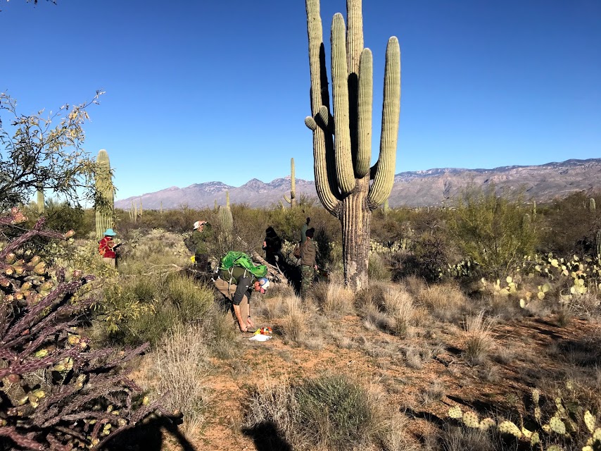 Volunteers working on the plot.