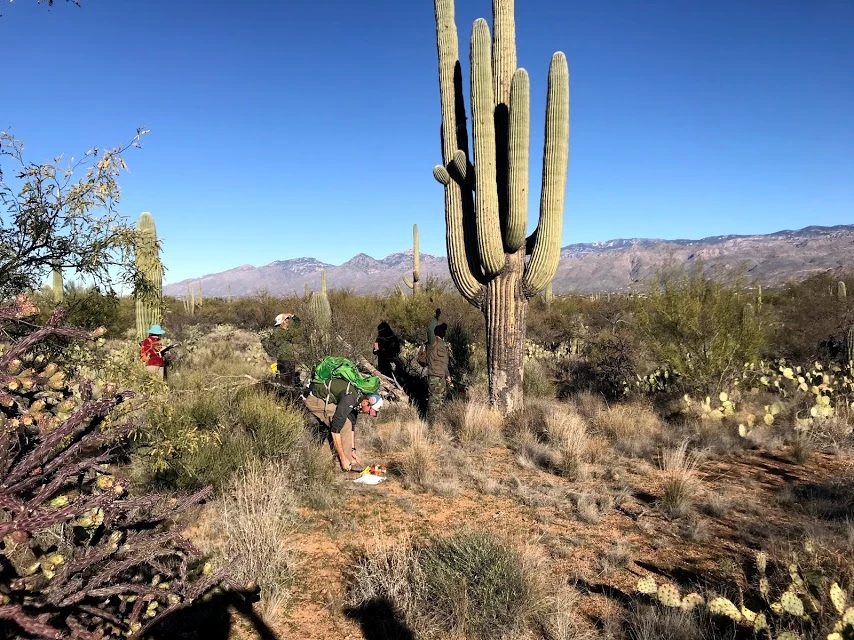 Individual Volunteers Volunteers working on the plot.