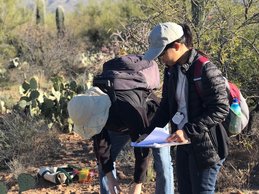 Volunteers on the plot