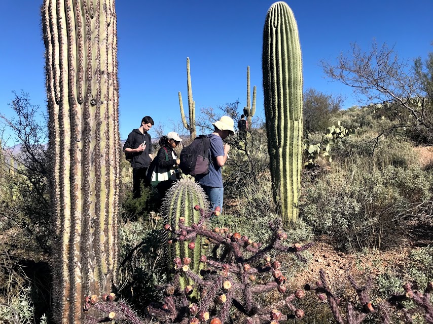 Volunteers on the plot.