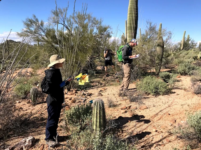 Volunteers work together to collect field data Volunteers work together to collect field data