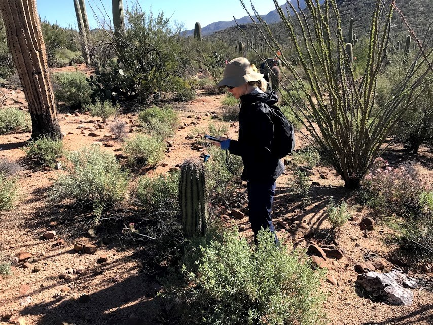 Volunteer uses GPS to collect data