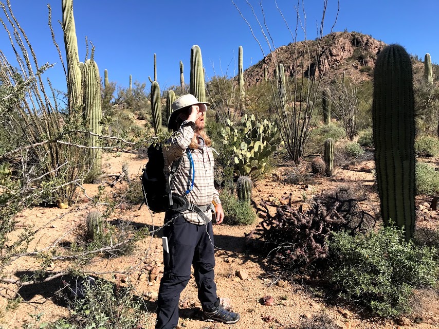Volunteer uses clinometer to measure saguaro